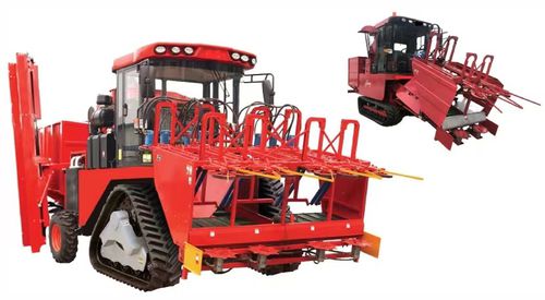 Уборочная машина для кукурузы - 4YZT-4/4C - EZ-Union Agrucultural Machinery Co.,Ltd.