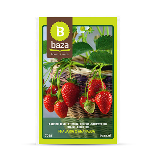Семена клубники - 7048 - BAZA Seeds Holland b.v.