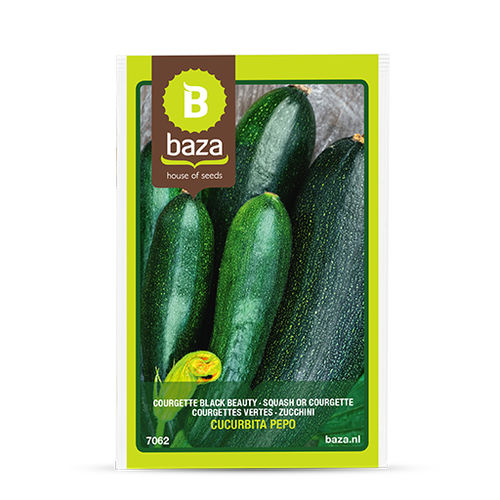 Раннее семена кабачков - 7062 - BAZA Seeds Holland b.v. - зеленое