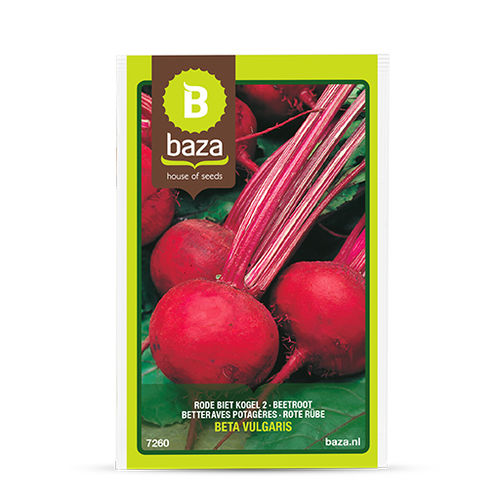 Семена свеклы для потребления - 7260 - BAZA Seeds Holland b.v. - красный / круглый