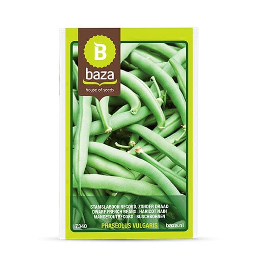Семена бобов - 7340 - BAZA Seeds Holland b.v.