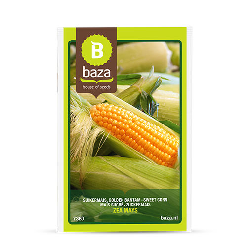 Семена кукурузы - 7380 - BAZA Seeds Holland b.v.