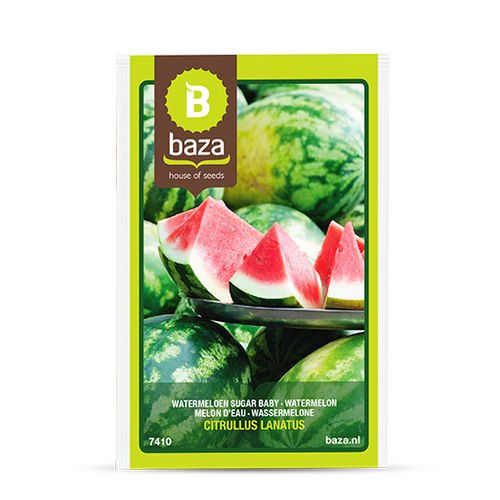 Семена арбуза для тепличных культур - 7410 - BAZA Seeds Holland b.v.