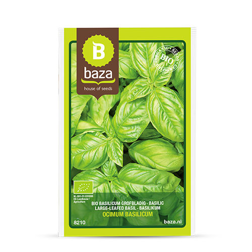 Осеннее семена базилика - 8210 - BAZA Seeds Holland b.v. - биологически чистое