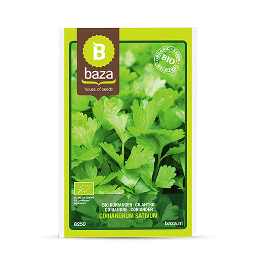 Биологически чистое семена кориандра - 8250 - BAZA Seeds Holland b.v.