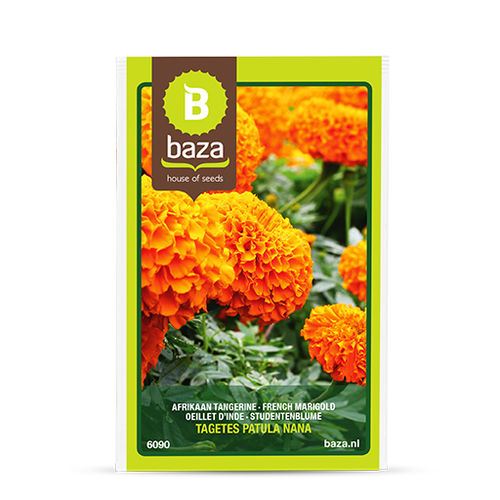 Годовой семена цветов - FRENCH MARIGOLD - BAZA Seeds Holland b.v. - оранжевый / для сада