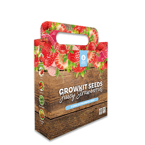Круглый семена клубники - BAZA Seeds Holland b.v.