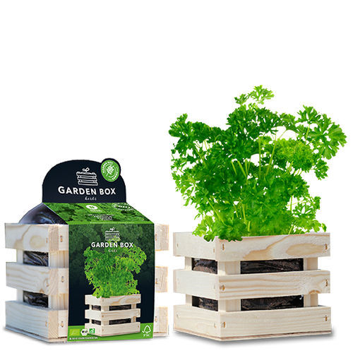 Биологически чистое семена петрушки - 1807768 - BAZA Seeds Holland b.v.