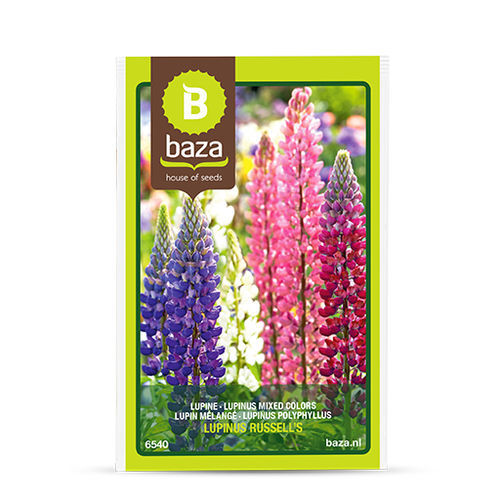 Годовой семена цветов - 6540 - BAZA Seeds Holland b.v. - смесь цветов / для сада / смесь