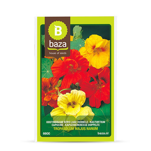 Годовой семена цветов - 6600 - BAZA Seeds Holland b.v. - красный / желтый / для сада