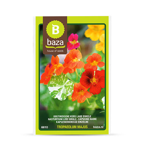 Годовой семена цветов - 6610 - BAZA Seeds Holland b.v. - смесь цветов / для сада