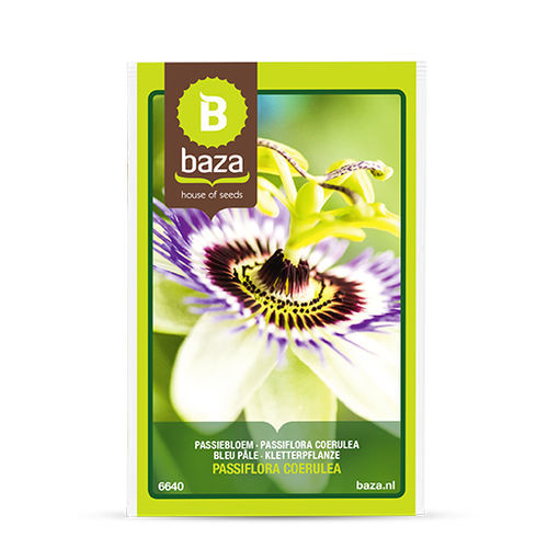 Многолетний семена цветов - Passiflora coerulea - BAZA Seeds Holland b.v. - синий / фиолетовый / вьющееся растение