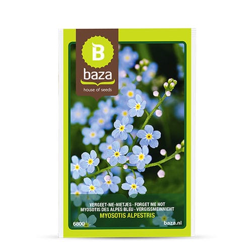 Годовой семена цветов - Myosotis des Alpes - BAZA Seeds Holland b.v. - желтый / синий / для клумбы