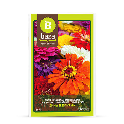 Годовой семена цветов - Zinnia Californian giant - BAZA Seeds Holland b.v. - смесь цветов / для среза / смесь