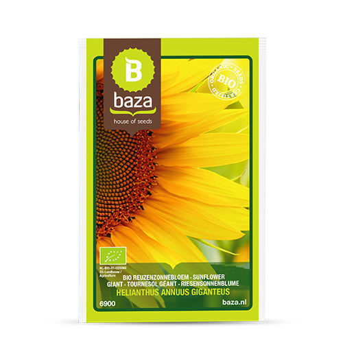 Зимнее семена подсолнуха - 6900 - BAZA Seeds Holland b.v.