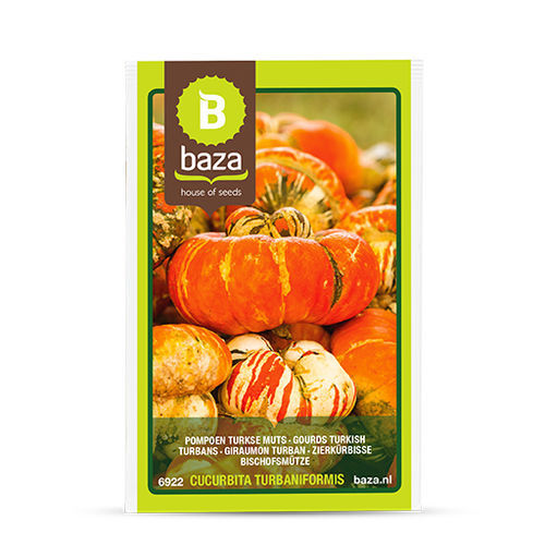 Годовое семена тыквы - Gourds Turkish turbans - BAZA Seeds Holland b.v.