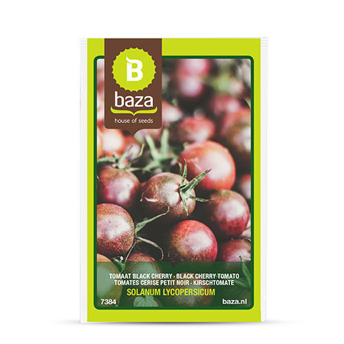 Черное семена томатов черри - 7384 - BAZA Seeds Holland b.v. - круглое / для тепличных культур