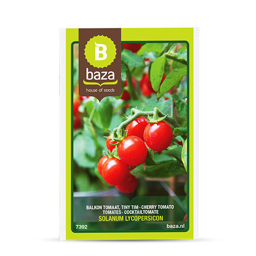 Красный семена томатов - 7392 - BAZA Seeds Holland b.v. - круглый / для тепличных культур / в горшке
