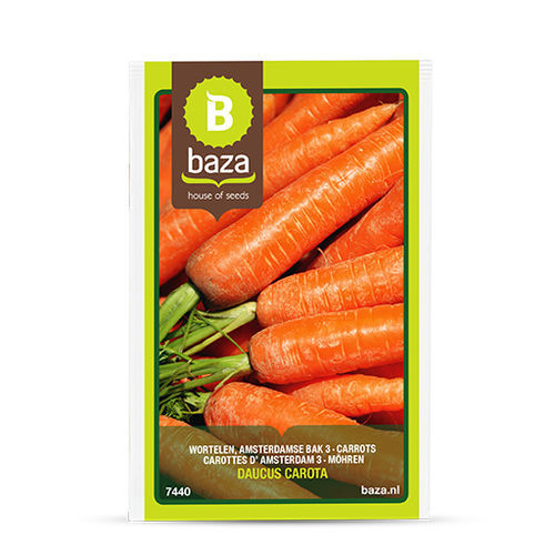 Коническое семена моркови - Amsterdamse bak 3 - BAZA Seeds Holland b.v.