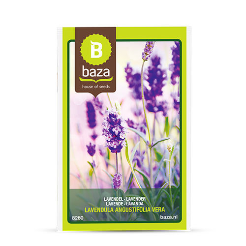 Многолетнее цветочное растение - 8260 - BAZA Seeds Holland b.v. - фиолетовое / для сада