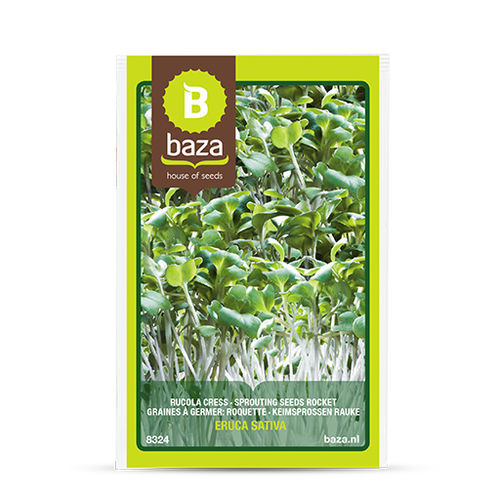 Многолетнее семена рукколы - 8324 - BAZA Seeds Holland b.v.