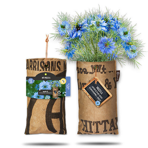 Годовой семена цветов - NIGELLA - BAZA Seeds Holland b.v. - фиолетовый / для сада / биологически чистый