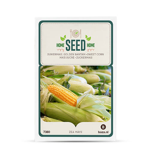 Семена кукурузы зерна - 707380 - BAZA Seeds Holland b.v. - зубчатый / роговой