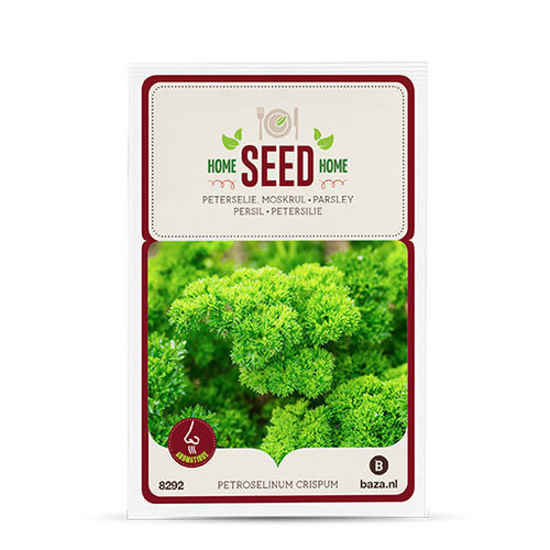 Семена петрушки - 708292 - BAZA Seeds Holland b.v.