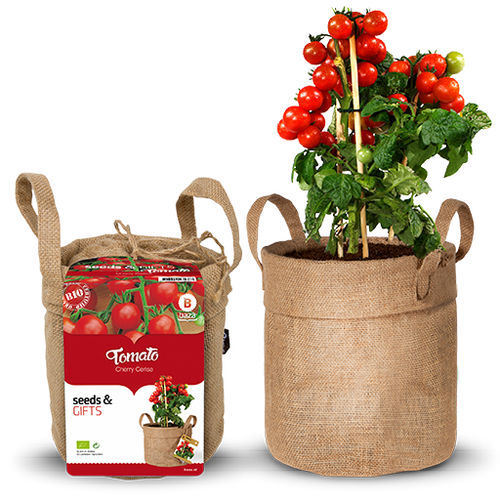 Красное семена томатов черри - 130578 - BAZA Seeds Holland b.v. - биологически чистое / круглое