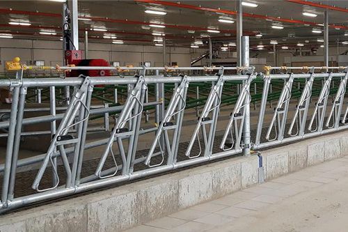 Кормовая решетка для коров - Condon Engineering - самоблокирующаяся / с трубчатой структурой / регулируемая