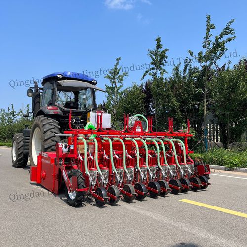 Пневматическая сеялка точного высева - 2QS-10H - Qingdao Dashun Jingfeng Agricultural Machinery Co., Ltd. - сцепка на три точки / для установки на трактор / для лука