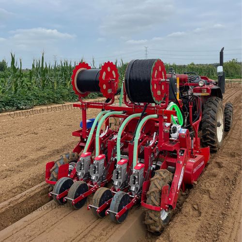 Пневматическая сеялка точного высева - 2QS-4H - Qingdao Dashun Jingfeng Agricultural Machinery Co., Ltd. - 4 ряда / овощная / сцепка на три точки