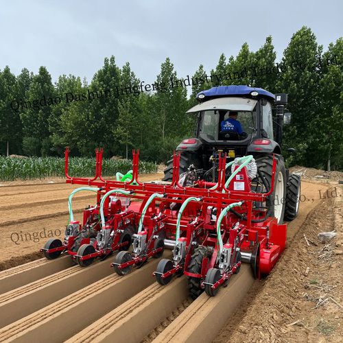 Пневматическая сеялка точного высева - 2DS-5H - Qingdao Dashun Jingfeng Agricultural Machinery Co., Ltd. - 5 рядов / овощная / сцепка на три точки
