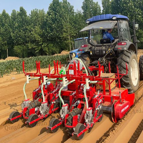 Пневматическая сеялка точного высева - 2DS-4H - Qingdao Dashun Jingfeng Agricultural Machinery Co., Ltd. - 4 ряда / овощная / сцепка на три точки