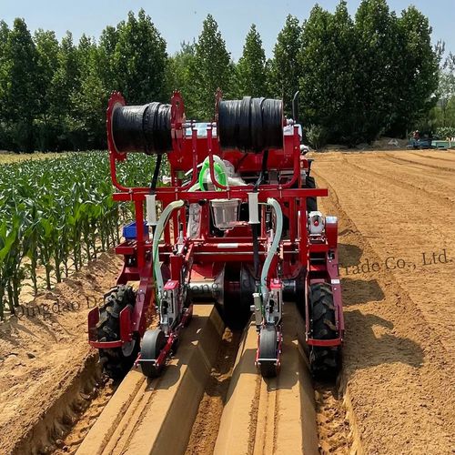 Сеялка точного высева для редиса - 2DS-2H - Qingdao Dashun Jingfeng Agricultural Machinery Co., Ltd. - пневматическая / 2 ряда / овощная