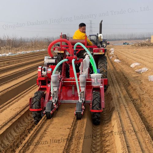 Сеялка точного высева для редиса - 2BS1-2H - Qingdao Dashun Jingfeng Agricultural Machinery Co., Ltd. - пневматическая / 2 ряда / овощная