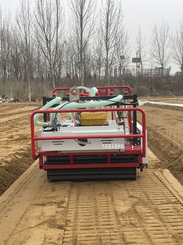 Пневматическая сеялка точного высева - 2BSG-10H - Qingdao Dashun Jingfeng Agricultural Machinery Co., Ltd. - овощная / толкаемого типа / самоходная