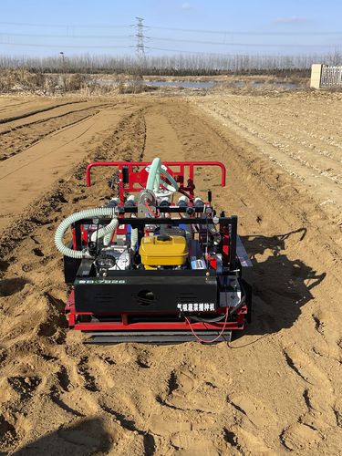Пневматическая сеялка точного высева - 2BSG-8H - Qingdao Dashun Jingfeng Agricultural Machinery Co., Ltd. - 8 рядов / овощная / толкаемого типа