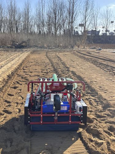 Пневматическая сеялка точного высева - 2BSG-6H - Qingdao Dashun Jingfeng Agricultural Machinery Co., Ltd. - 6 рядов / овощная / толкаемого типа