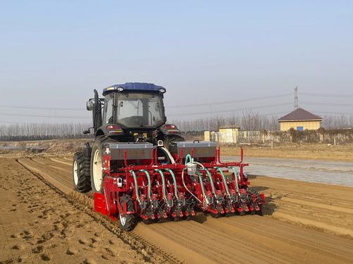 Пневматическая сеялка точного высева - 2QS-8H2L - Qingdao Dashun Jingfeng Agricultural Machinery Co., Ltd. - 8 рядов / овощная / сцепка на три точки