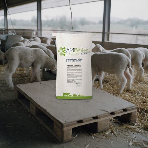 Кормовая добавка для животных - AMBomba Corderos 4 % - AMBiotec - для овец / ягнята / кальций
