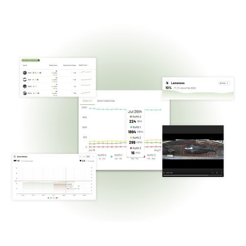 Система наблюдения для коров - CattleEye Ltd. - состояния здоровья / для дойки / состояния тела