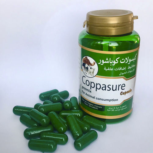 Болюс медь - Coppasure - Sanigma Dis. Tic. Ltd. Sti. - питание / для овец / для коз