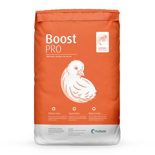 Кормовая добавка для домашней птицы - Boost PRO - ProChaete Sea Farms Nutrition Ltd. - для животных / для протеинов / стимулировать аппетит