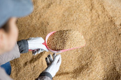 Пищевая присадка подкислитель - PANSAN - Novagrar GmbH & Co. KG - для крупного рогатого скота / в форме порошка