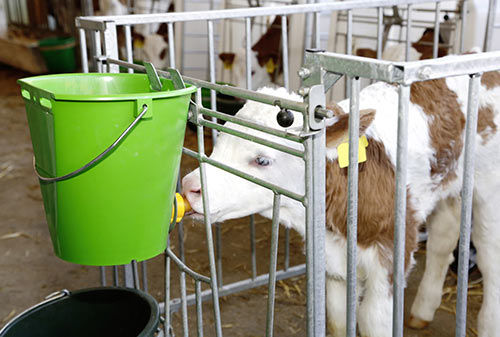 Ведро для вскармливания для телят - Milk’n’Roll Calf Management Solutions - мультидоступ