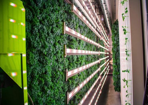 Гидропонная система в контейнере - ZipPod - ZipGrow - для выращивания крупных растений / автоматизированная / для интерьера