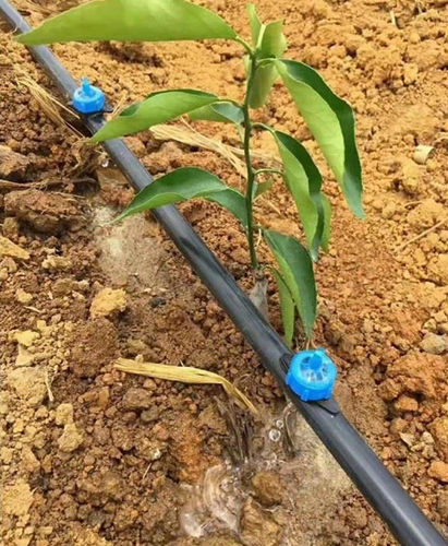 Наземная система капельного полива - Yibiyuan Water-saving Irrigation Technology Co., Ltd.