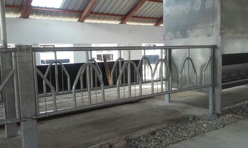 Стойка для внешнего пространства - EXTA30.3000 - AHI - FARM CAMARA - для крупного рогатого скота / из металла / мультидоступ