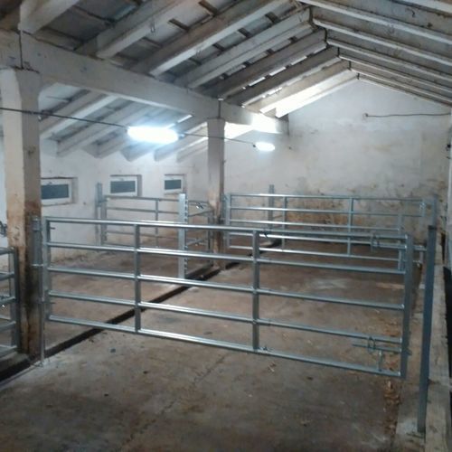 Барьер для домашнего скота - GATG420 - AHI - FARM CAMARA - для стойла / для коров / из нержавеющей стали